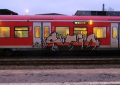 Photo #136312 by BenausHilden