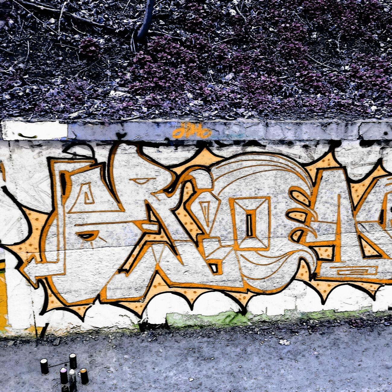 Graffiti Wall - Photo by BurnYa285 - orion