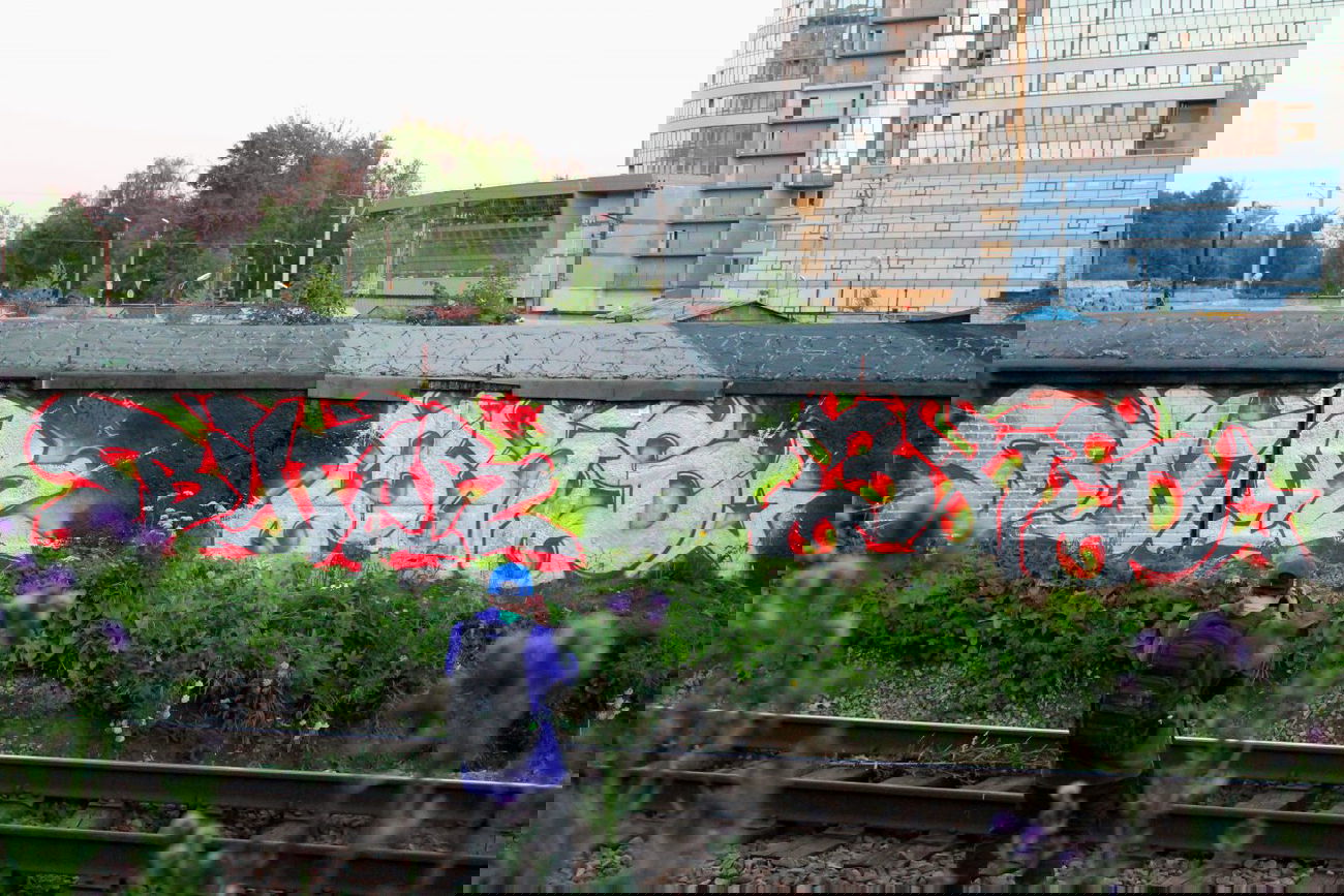 Graffiti Bombing - Photo by ByteOne