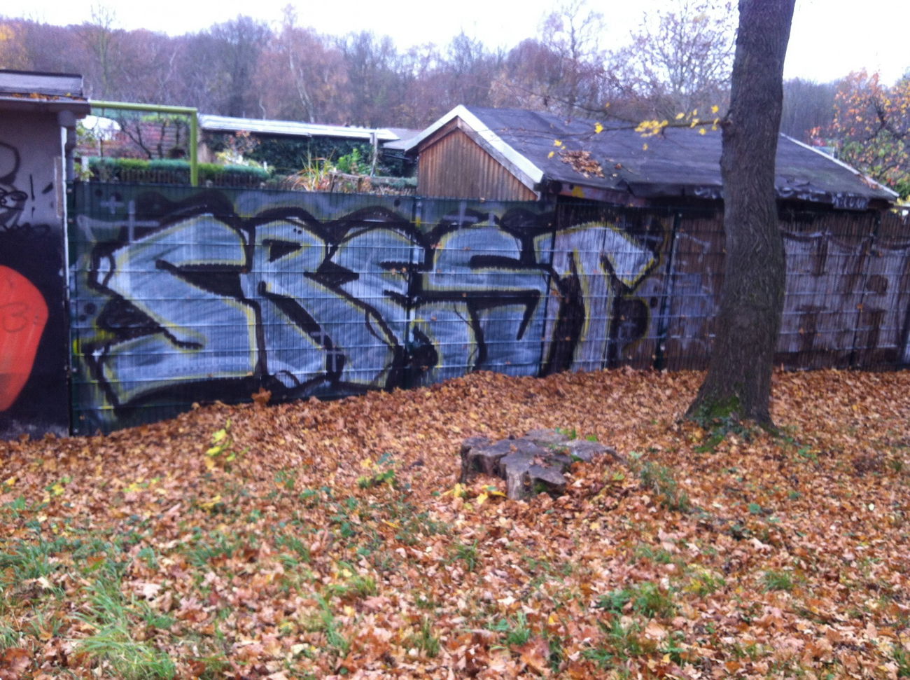 Graffiti Bombing - Photo by C3Po - Crest|schocker, Kru