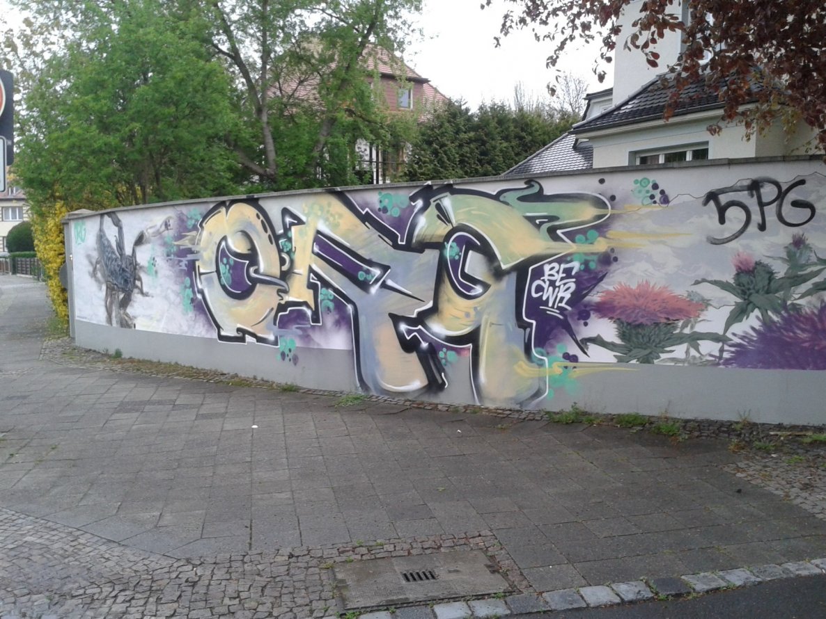 Graffiti Bombing - Photo by C3Po - Mies, Org