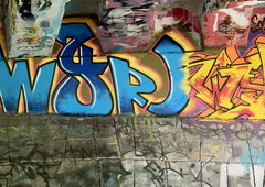 Photo #249519 by iobe1