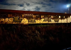 Photo #249522 by iobe1