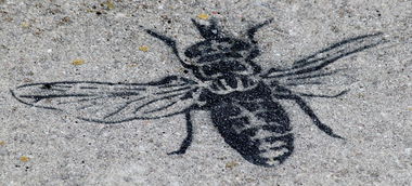 Graffiti Street Art in Kiel - Photo by CALUE - FLY