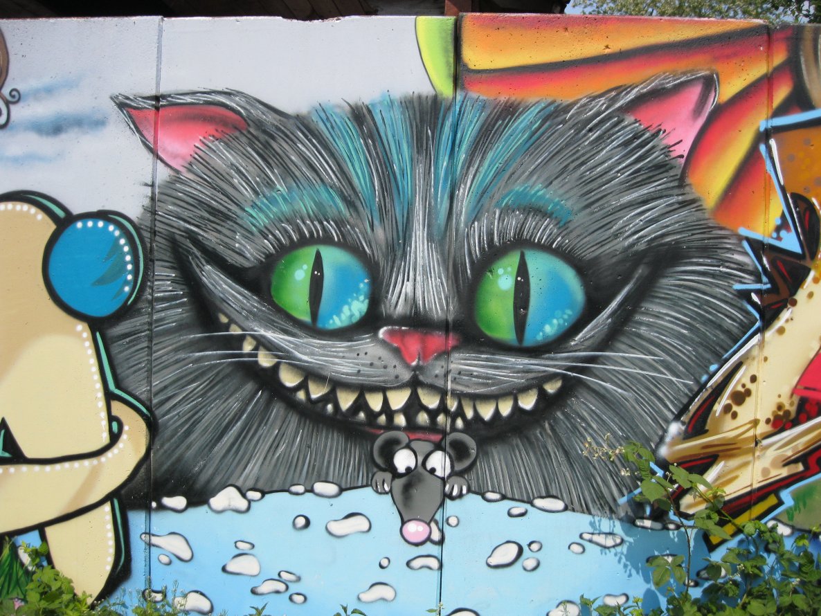 Graffiti Wall in Kiel - Photo by CALUE - Cat, Katze