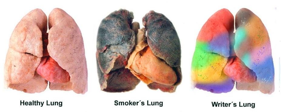 Graffiti Artwork - Photo by CANFLY - writer's, lung