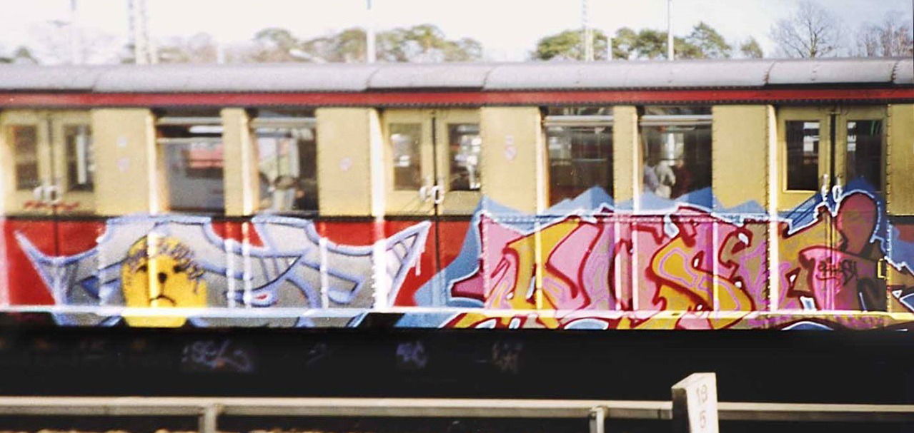 Graffiti Train - Photo by CANFLY - goza, nasti, gosa