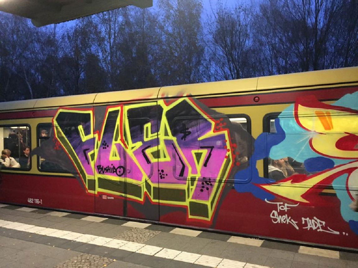 Graffiti Photo by CANFLY - fler, bushido, SBahn (2015)
