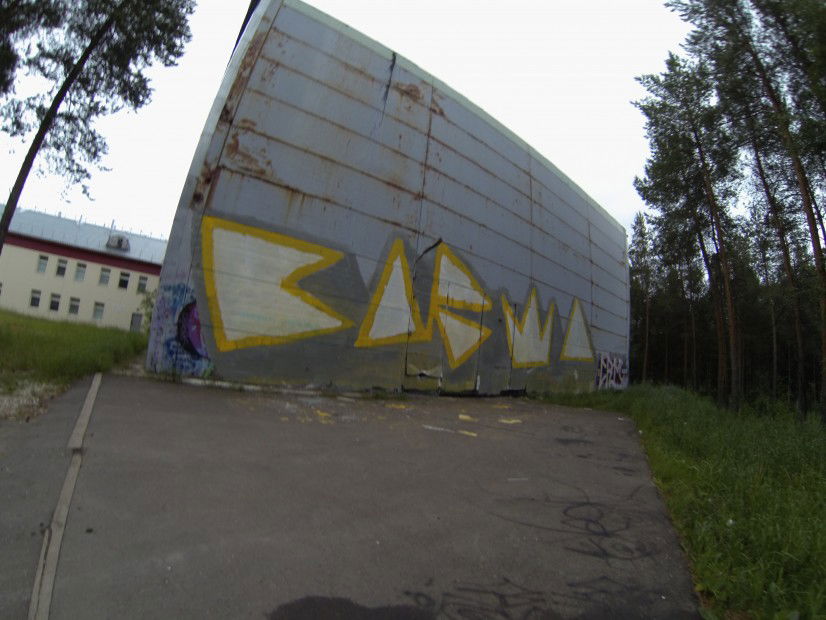 Graffiti Bombing - Photo by CARMA (2013)