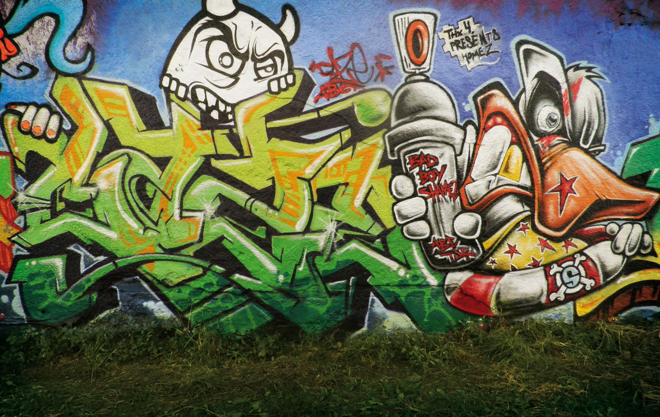 Graffiti Wall - Photo by CAZEricabc - Caze, n, Shame (2011)