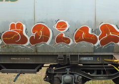 Photo #233629 by 19xllls