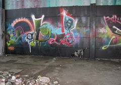 Photo #215200 by EliK