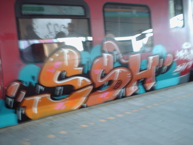 Graffiti Train in Copenhagen - Photo by COLLECTOR - SSH, Copenhagen, Denmark (2011)