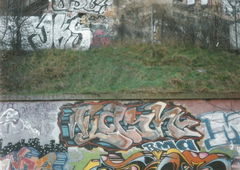 Photo #27286 by DisgoPolo