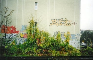 Graffiti Bombing in Berlin - Photo by COLLECTOR - Busi, RCB, Wead