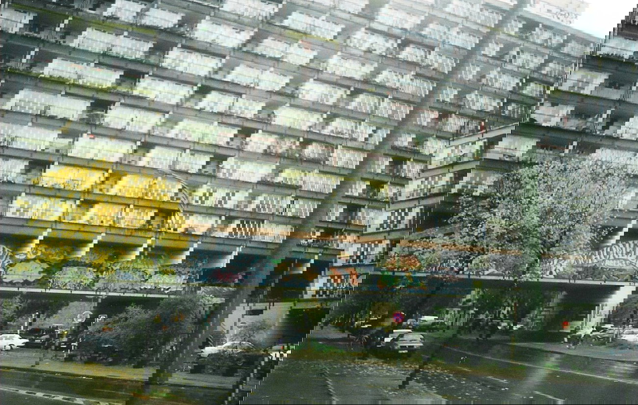 Graffiti Artwork in Berlin - Photo by COLLECTOR - Schöneberg, Schöneberg, Pallas