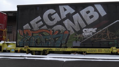 Graffiti Train - Photo by COLLECTOR - Zock