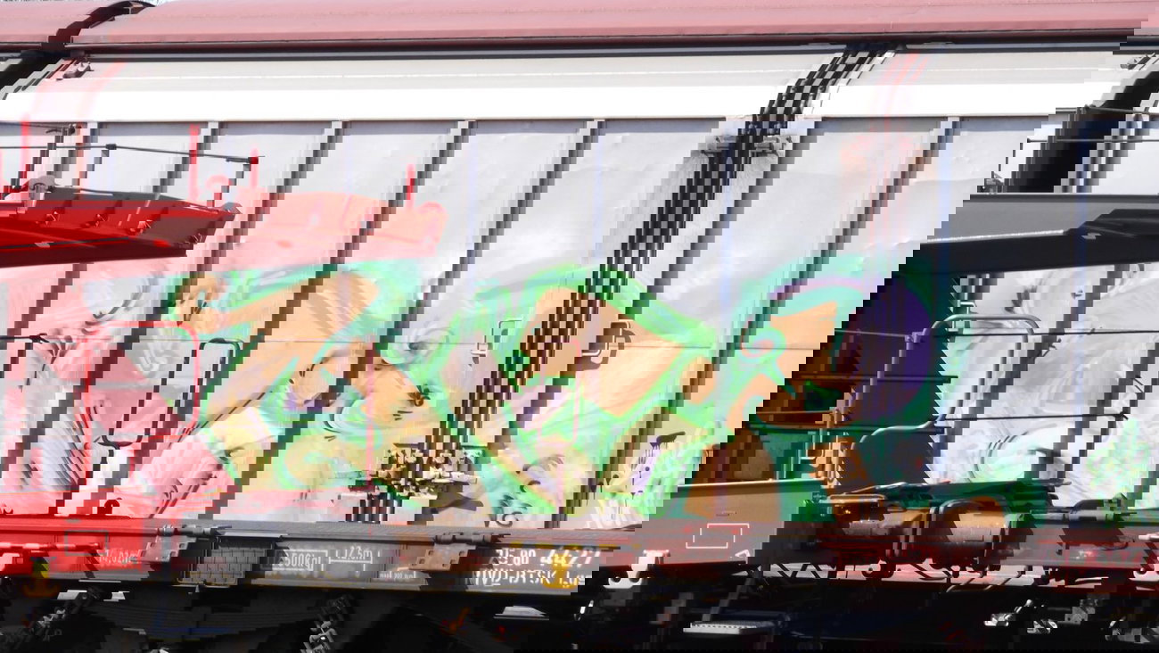 Graffiti Train - Photo by COLLECTOR