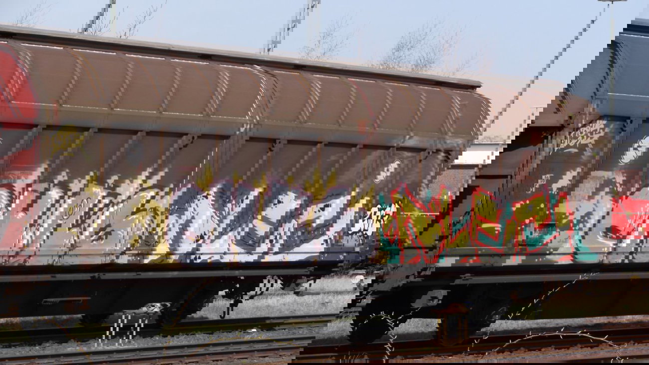 Graffiti Train - Photo by COLLECTOR - Chas, Alec (2013)