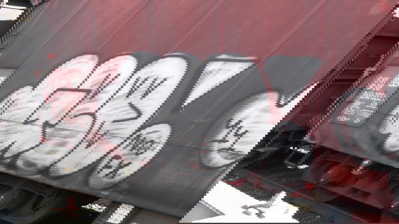 Graffiti Train - Photo by COLLECTOR - Geo, NOFX