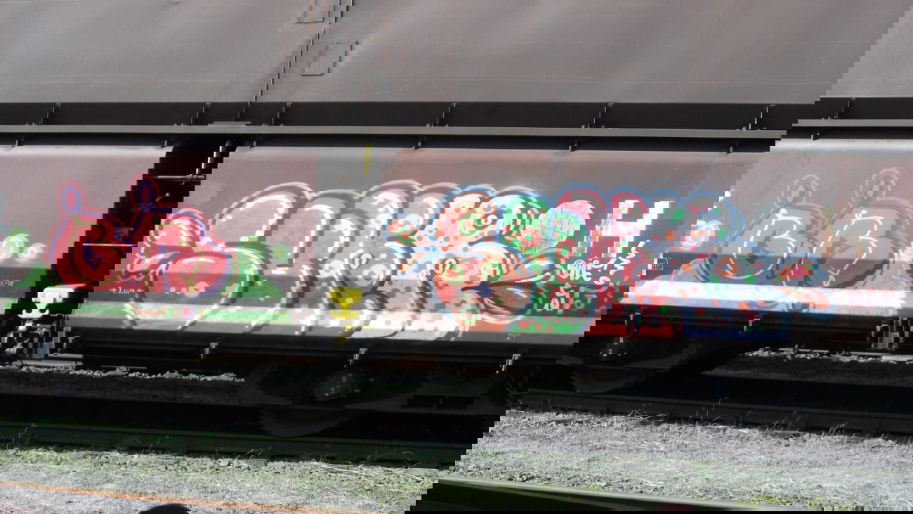 Graffiti Train - Photo by COLLECTOR