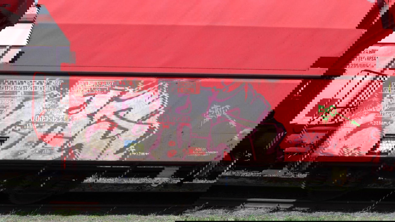 Graffiti Train - Photo by COLLECTOR - Zoxs