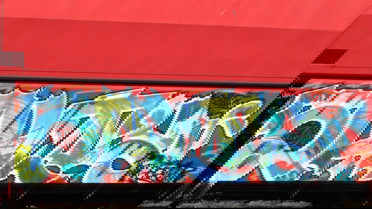 Graffiti Train - Photo by COLLECTOR - Salty (2013)