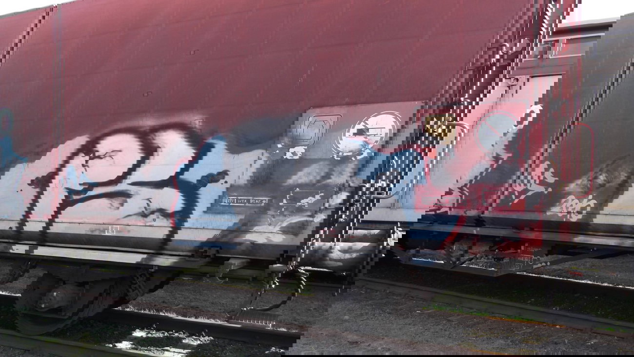 Graffiti Train - Photo by COLLECTOR - FS (2010)