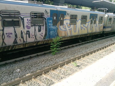 Graffiti Train in Rome - Photo by COLLECTOR - Poison, Rome, Italy (2007)