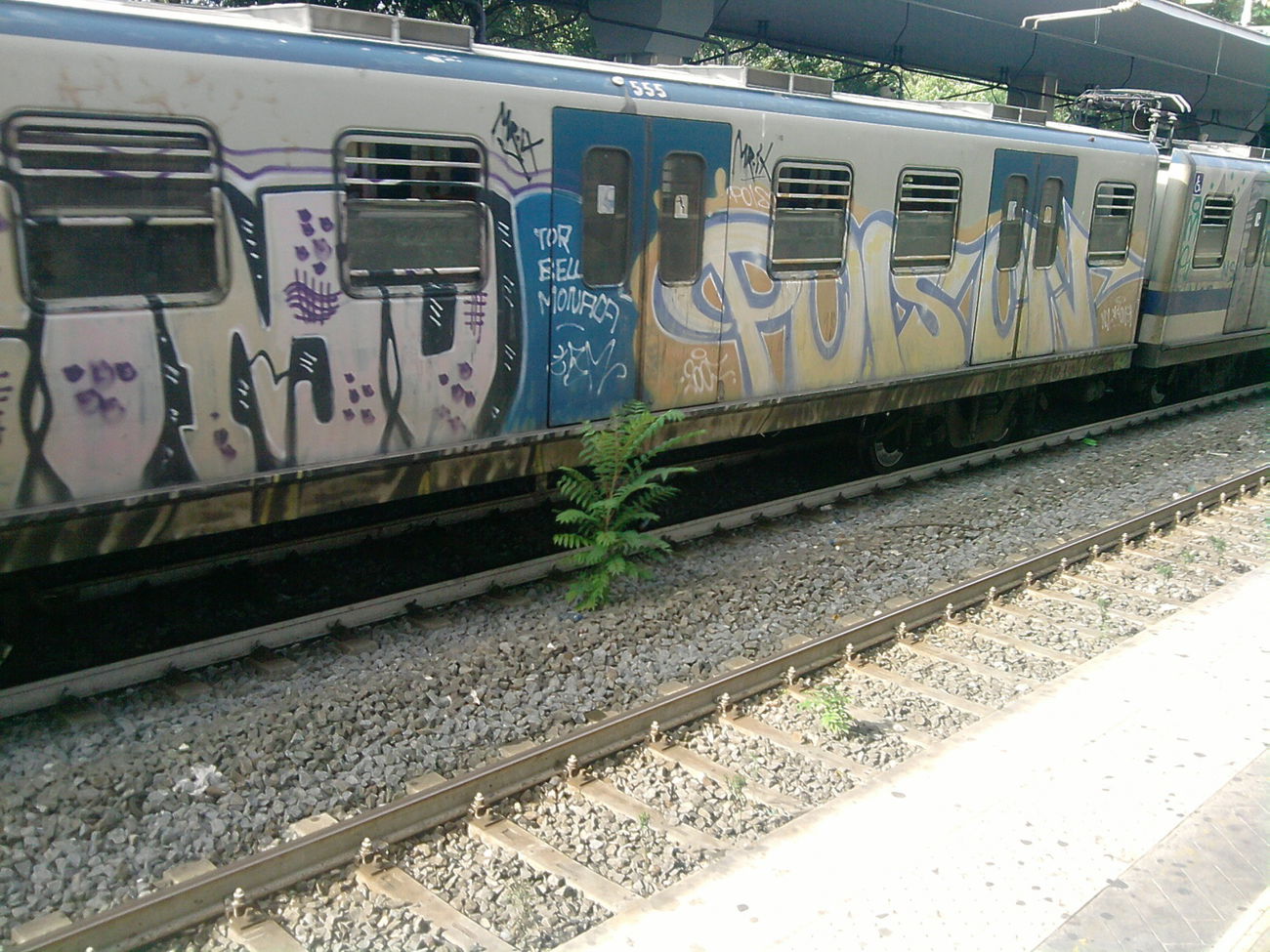 Graffiti Train in Rome - Photo by COLLECTOR - Poison, Rome, Italy (2007)