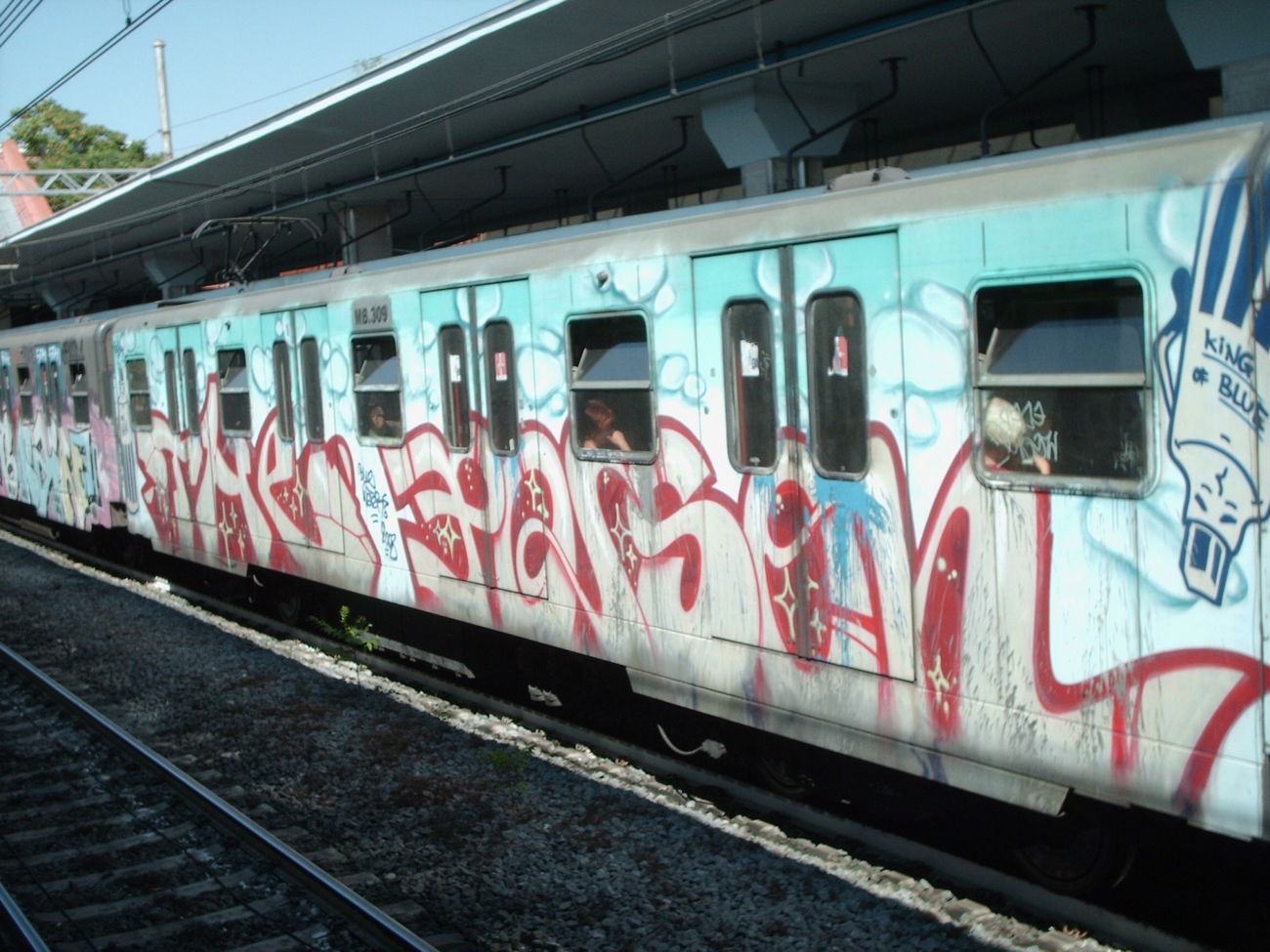 Graffiti Train in Rome - Photo by COLLECTOR - THE, Poison, Rome (2012)