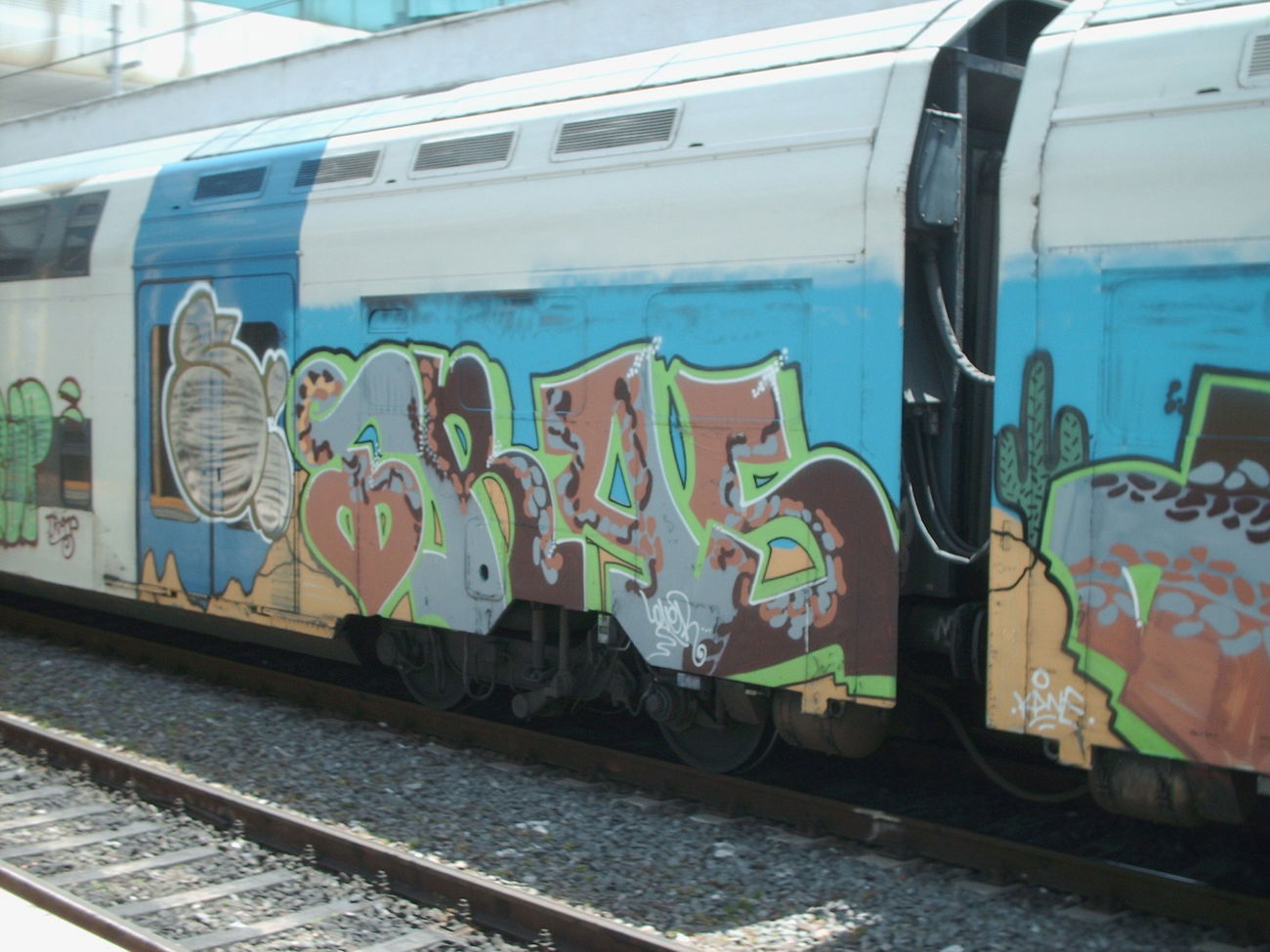 Graffiti Train in Rome - Photo by COLLECTOR - Tras, Rome, Italy