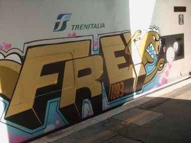 Graffiti Train in Rome - Photo by COLLECTOR - Freo, Rome, Italy (2011)