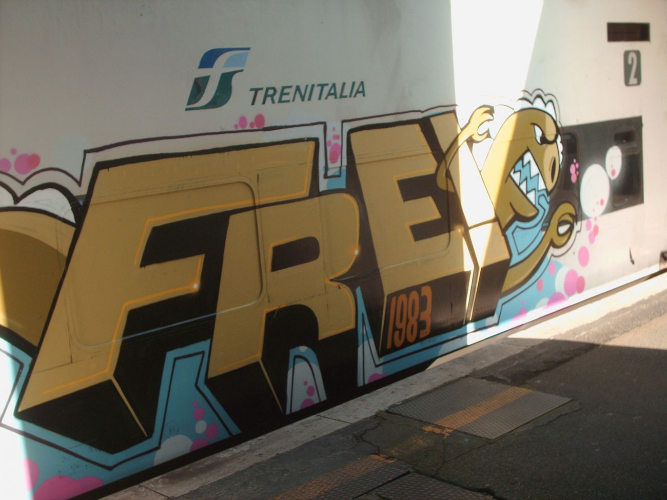 Graffiti Train in Rome - Photo by COLLECTOR - Freo, Rome, Italy (2011)