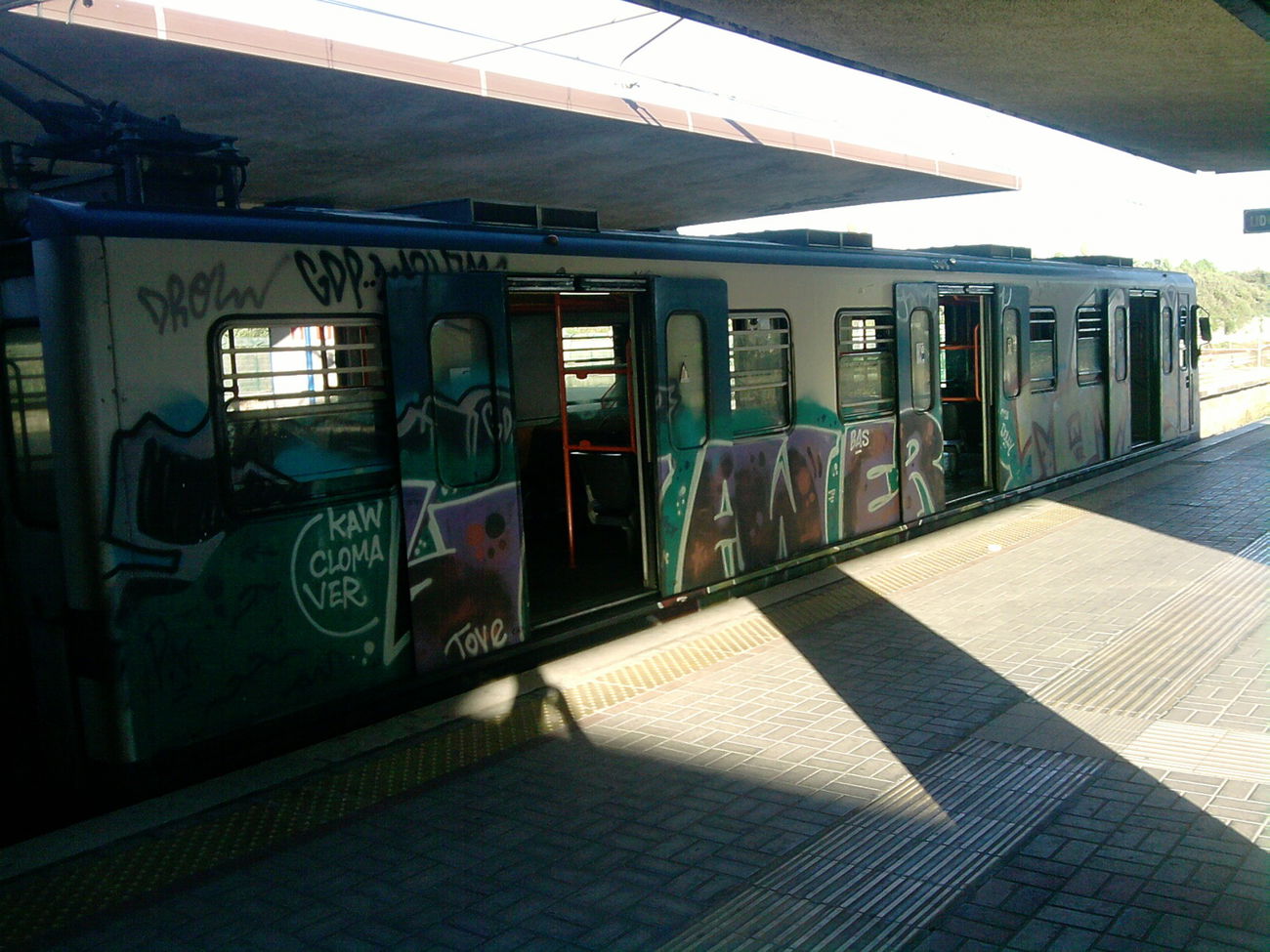Graffiti Train in Rome - Photo by COLLECTOR - Rome, Italy (2013)