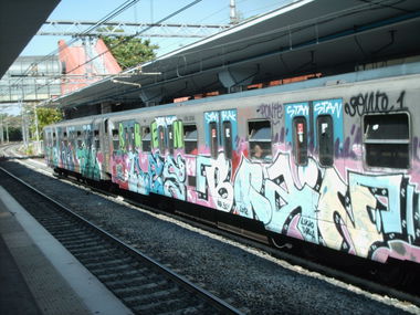 Graffiti Train in Rome - Photo by COLLECTOR - Brain, Rome, Italy (2012)