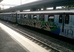 Graffiti Train in Rome - Photo by COLLECTOR - JNT, RTS, Rome (2013)