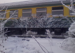 Photo #219383 by Wemd