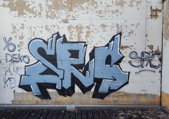 Photo #203516 by Camo