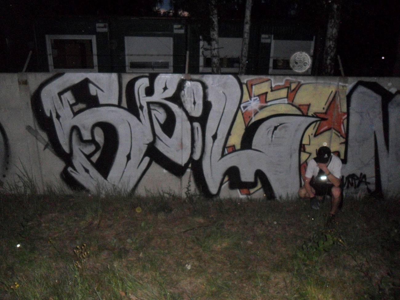 Graffiti Bombing - Photo by CRIME22 (2016)