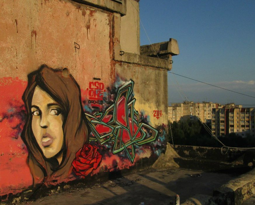 Graffiti Wall - Photo by CSD_ONE - Cassydee, CSD_ONE, girl (2014)