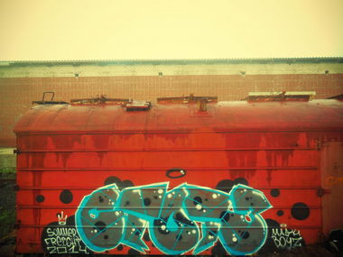 Graffiti Train - Photo by CTO73 (2014)