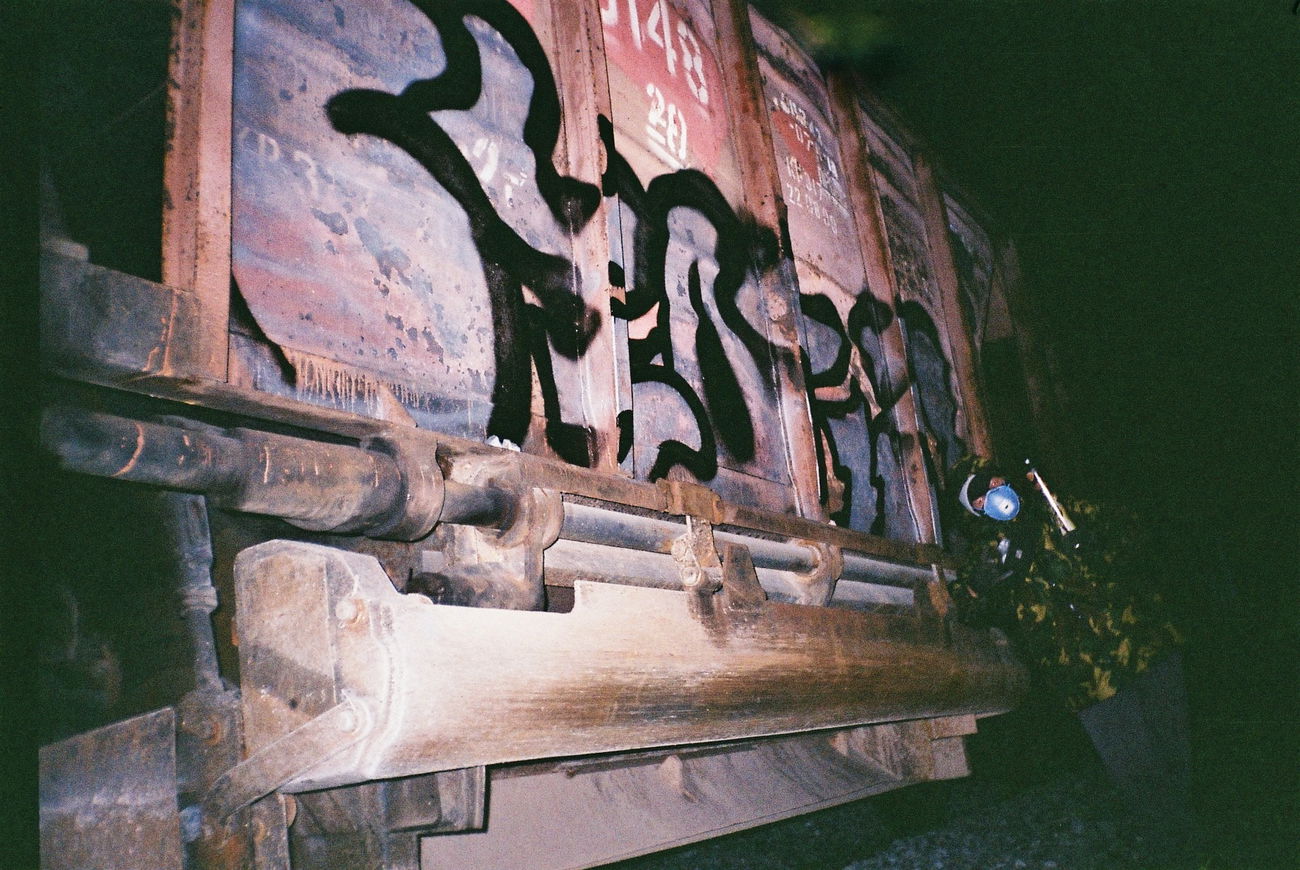 Graffiti Train in Ледмозерское Сельское Поселение - Photo by CTO73 (2015)