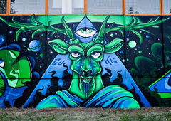 Photo #162186 by Belt