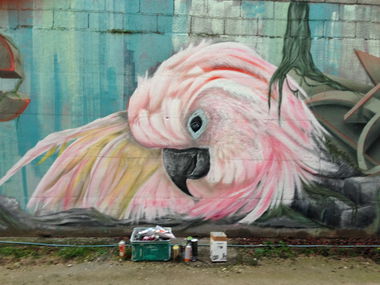 Graffiti Wall - Photo by Calmo