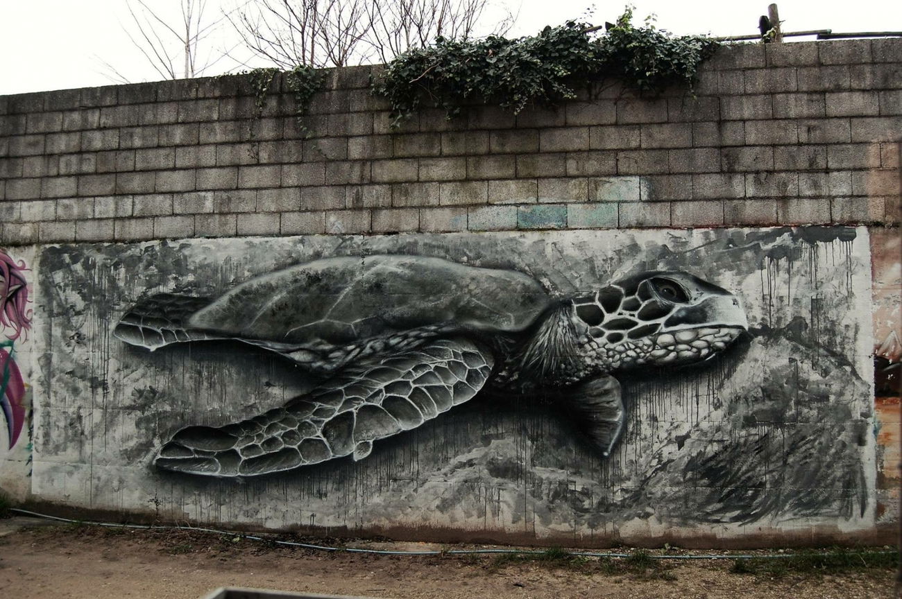 Graffiti Wall - Photo by Calmo