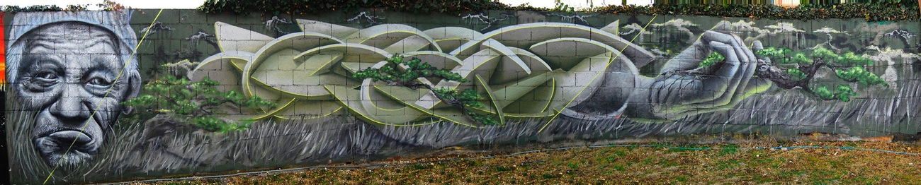 Graffiti Wall - Photo by Calmo