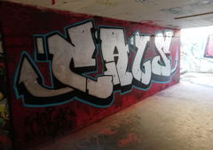 Photo #224369 by WILKone