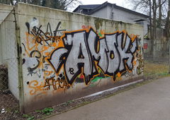 Graffiti Bombing - Photo by Camo - Amok, Crew, Völklingen