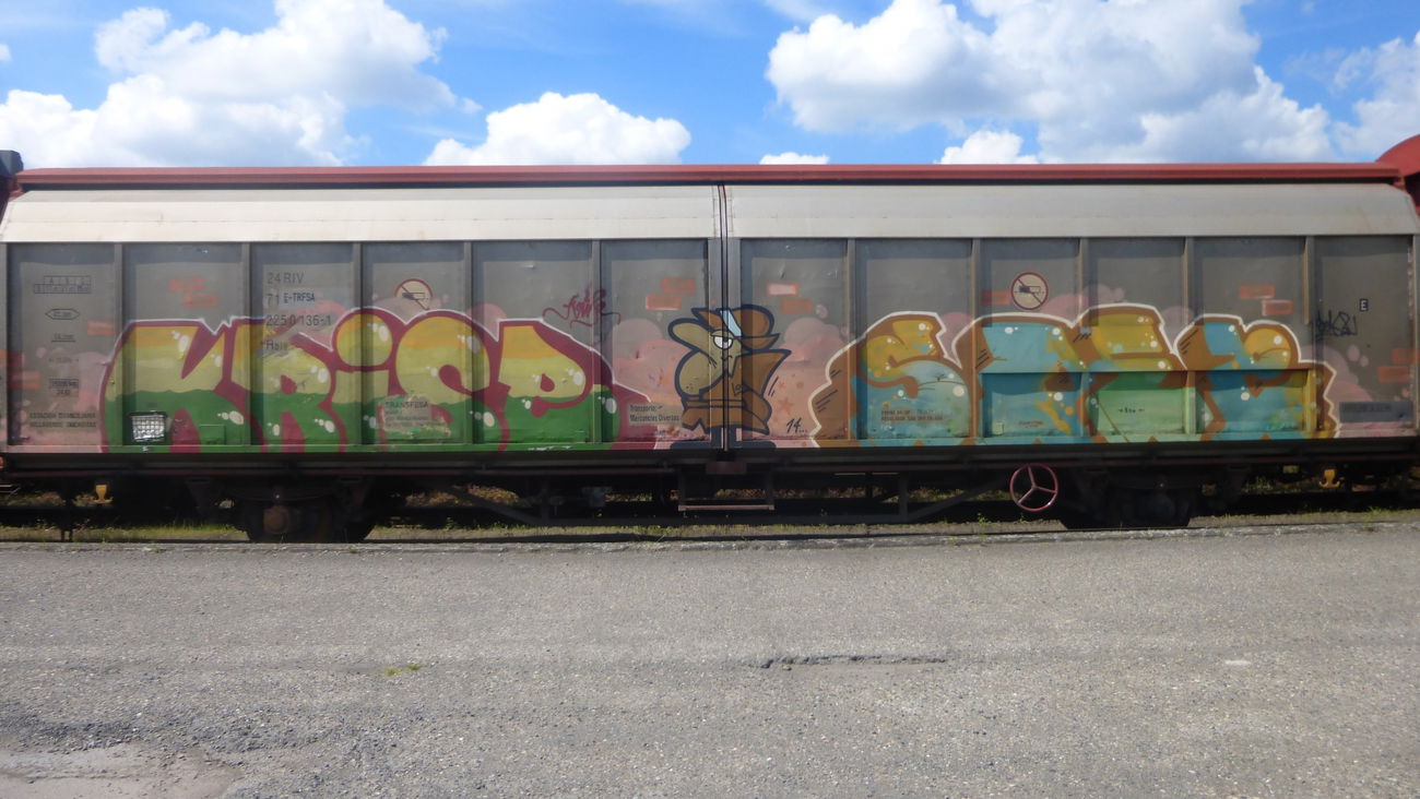 Graffiti Train in Braunschweig - Photo by Candyflip - krise, soku, braunschweig
